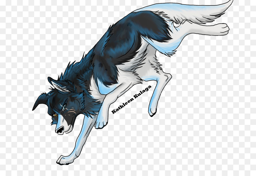 Canidae，Kuda PNG