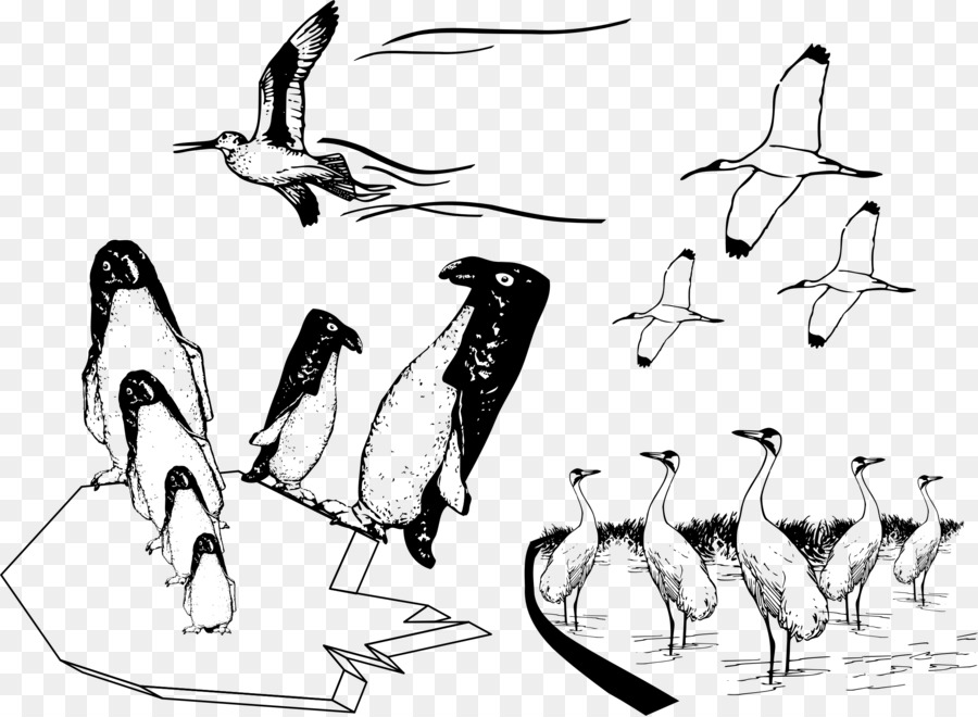 Sketsa Burung，Penguin PNG