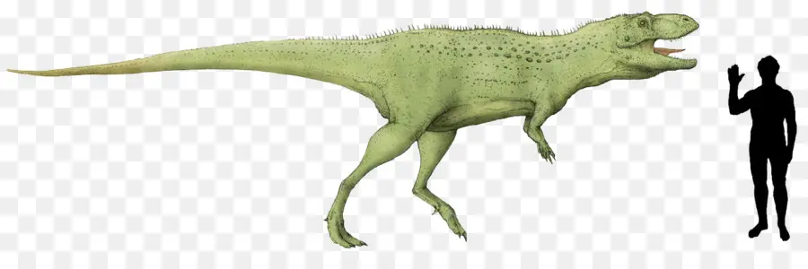 Dinosaurus Hijau，Reptil PNG