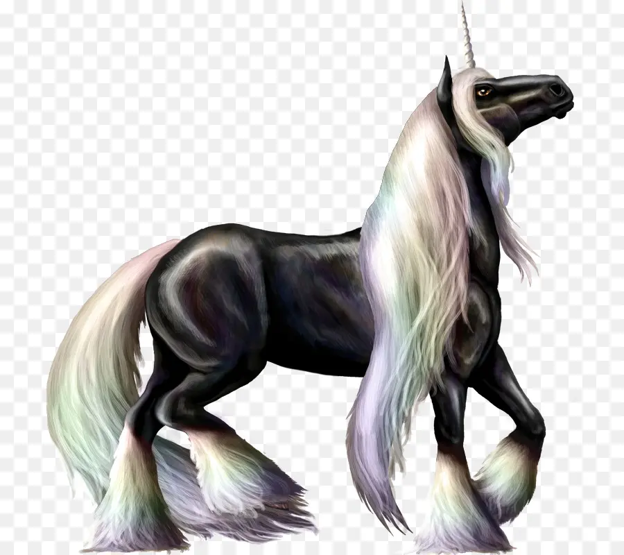 Unicorn Hitam，Kuda PNG