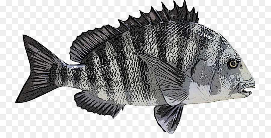 Ikan，Akuatik PNG