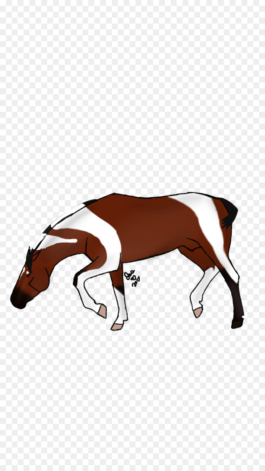 Mustang，Murni PNG