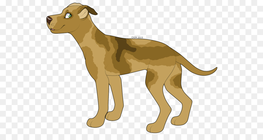 Anjing Berkembang Biak，Greyhound Italia PNG