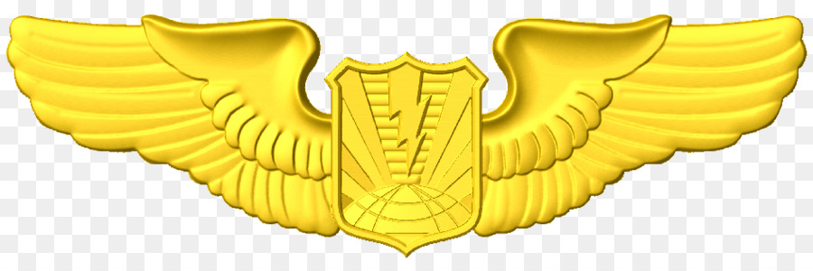 Angkatan Udara As Aeronautika Rating，Angkatan Udara Amerika Serikat PNG