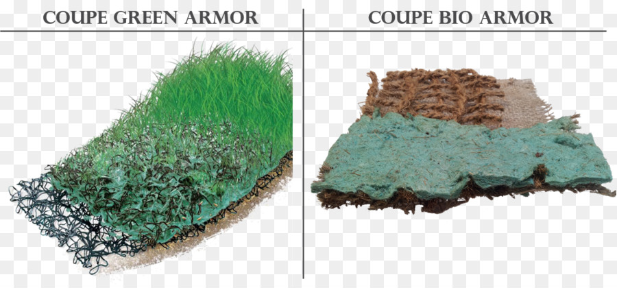 Euro，Hydroseeding PNG