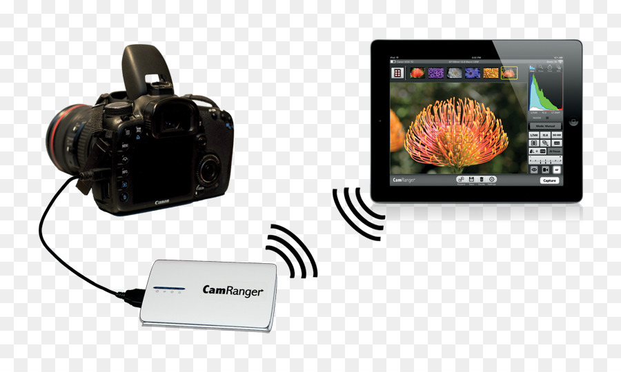 Digital Slr，Remote Kontrol PNG