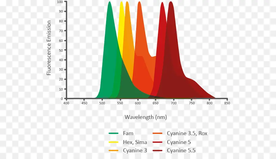 Grafik Emisi Fluoresensi，Panjang Gelombang PNG