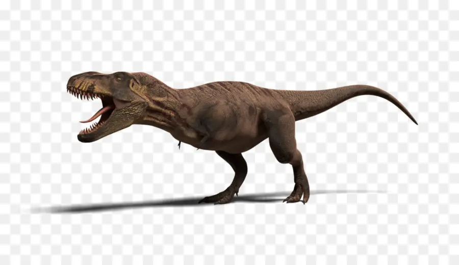 Dinosaurus，Prasejarah PNG