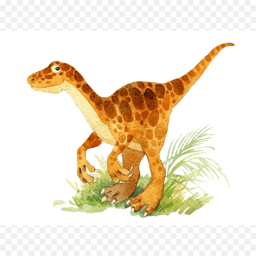 Dinosaurus，Prasejarah PNG