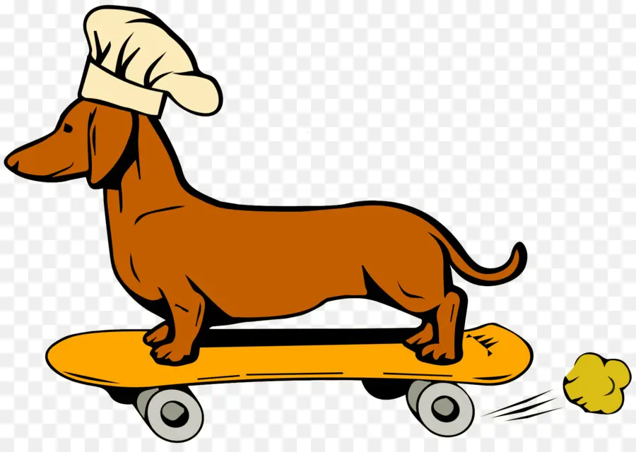 Anjing Di Skateboard，Sepatu Luncur PNG