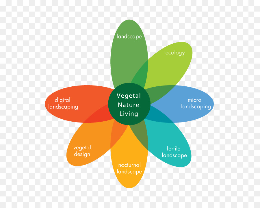 Diagram Bunga，Alam PNG