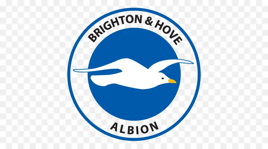 Logo Brighton Hove Albion，Camar PNG