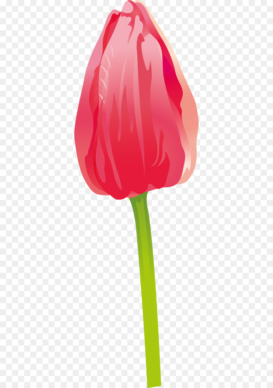 Tulip Merah，Tangkai PNG