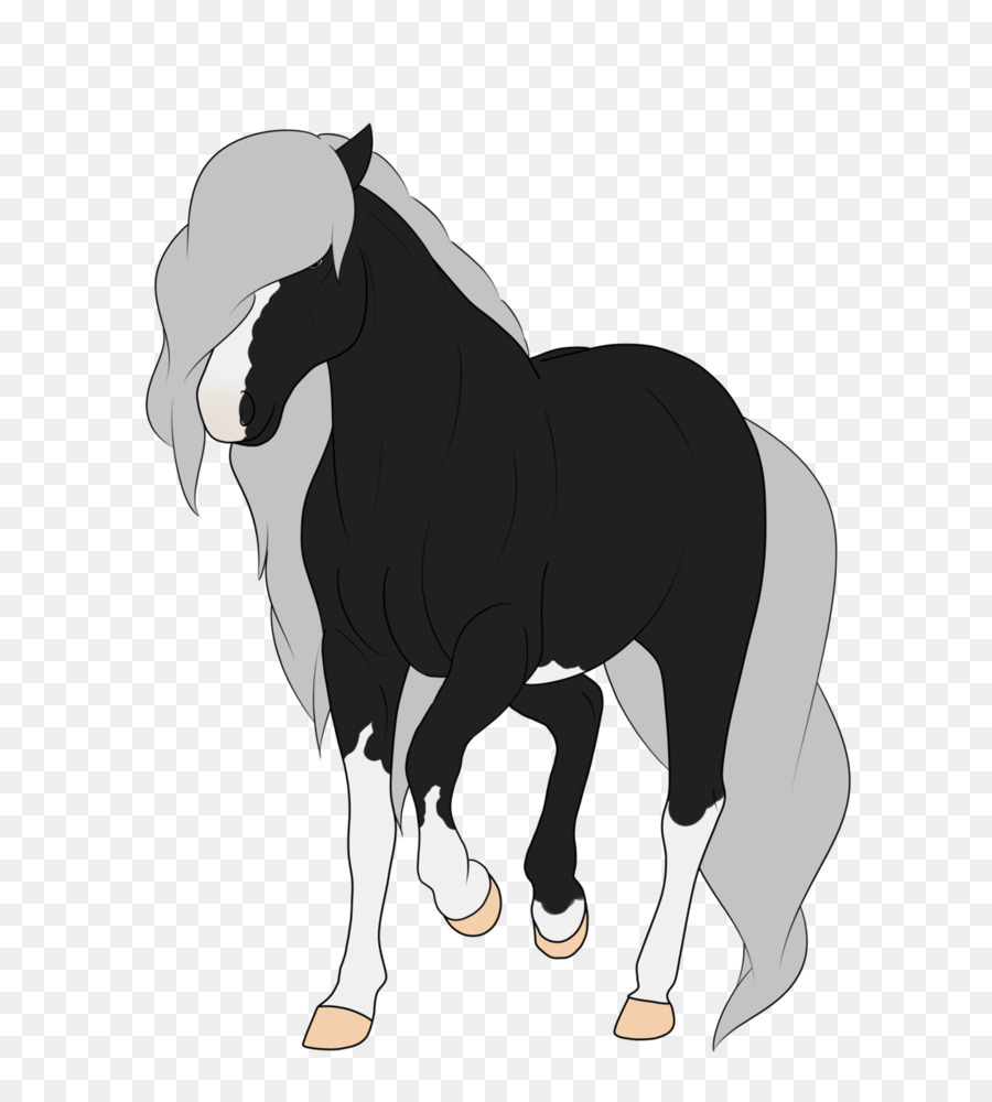 Kuda，Besar PNG