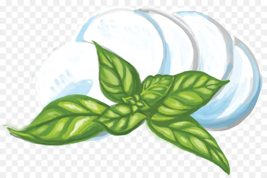 Mozzarella，Masakan Italia PNG