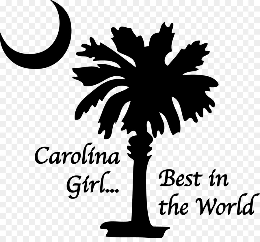 Carolina Selatan，Sabal Palm PNG