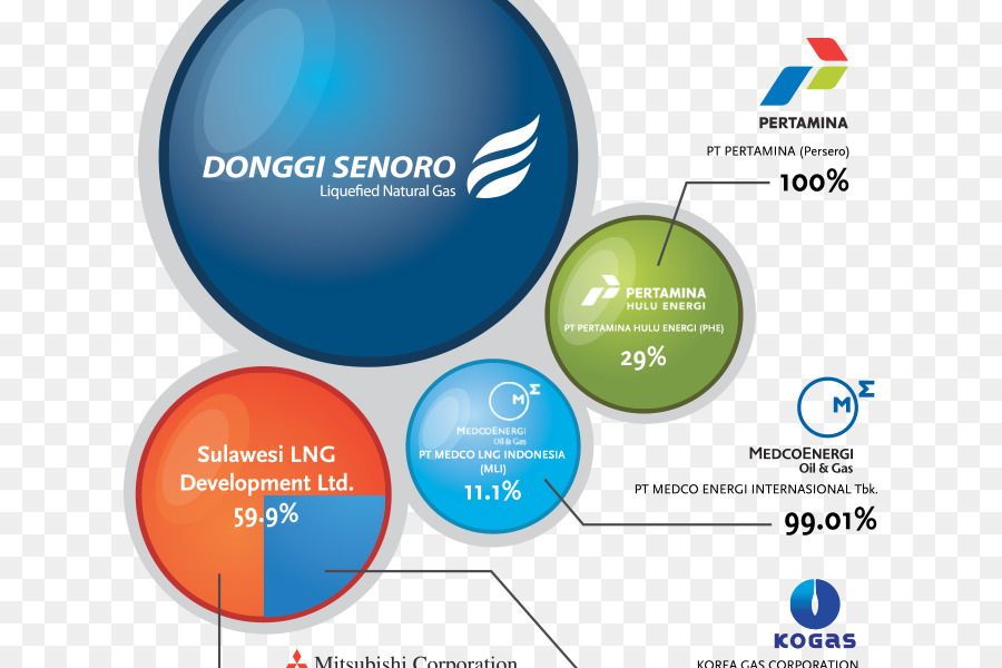 Pt Donggisenoro Lng，Organisasi PNG