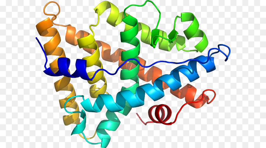 Heliks Protein，Molekul PNG