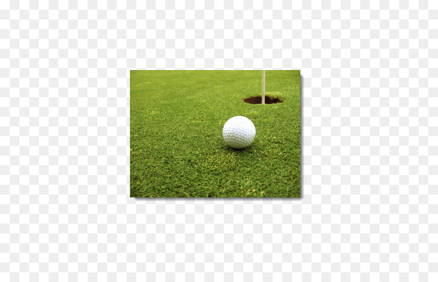 Bola Golf，Golf PNG