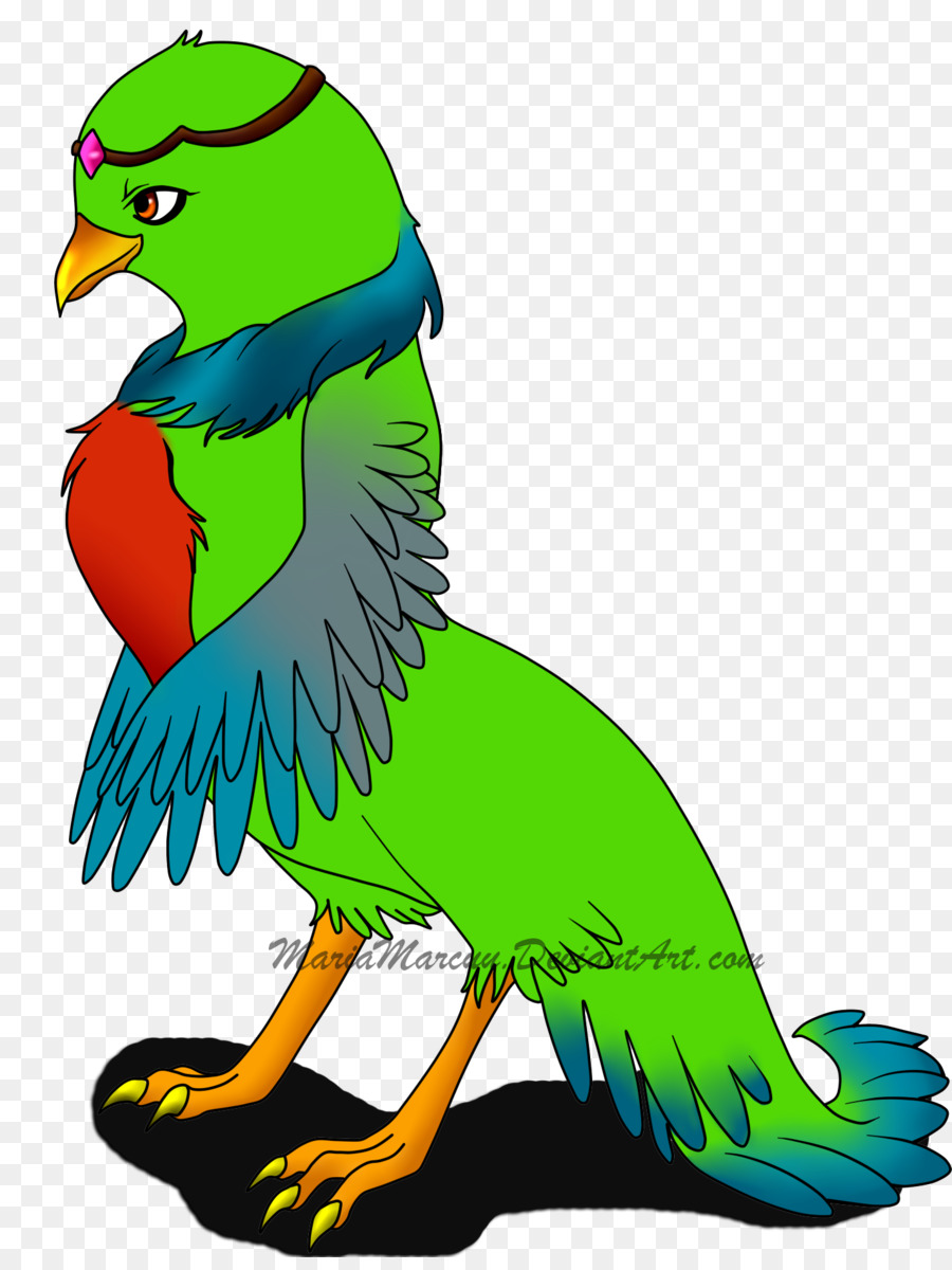 Macaw，Parkit PNG