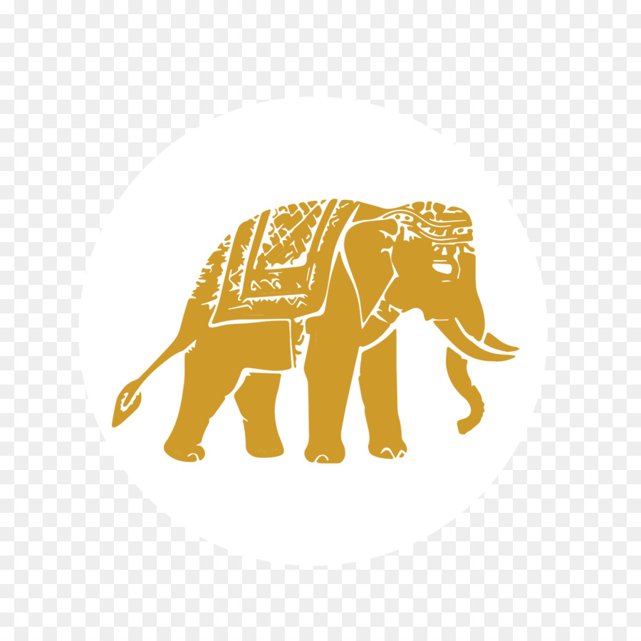 Gajah India