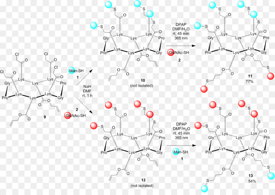 Tiol，Thiolene Reaksi PNG