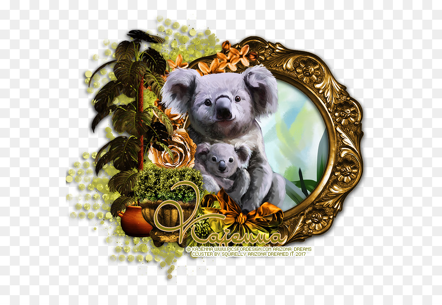 Koala，Beruang PNG