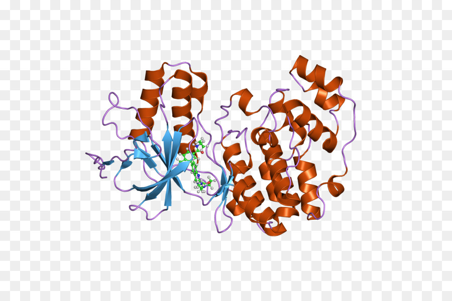 Struktur Protein，Molekul PNG