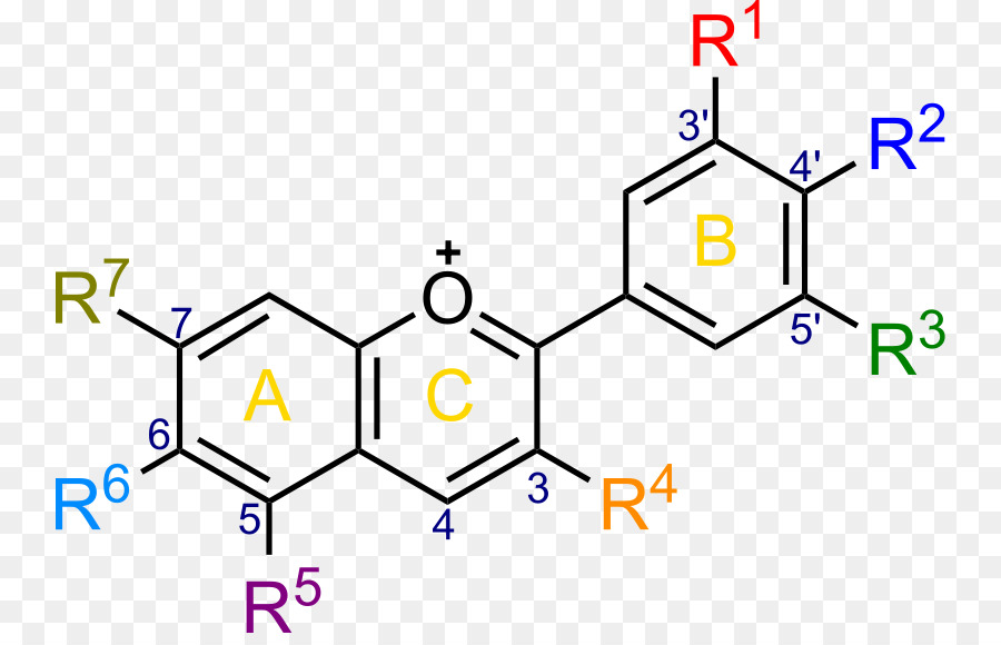 Eter，Scutellarein PNG