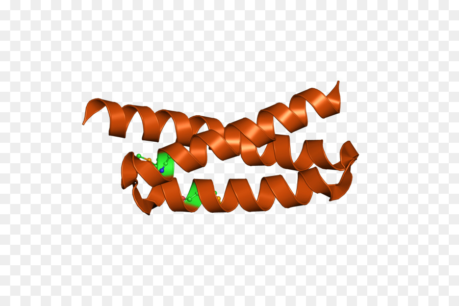 Struktur Protein，Biologi PNG