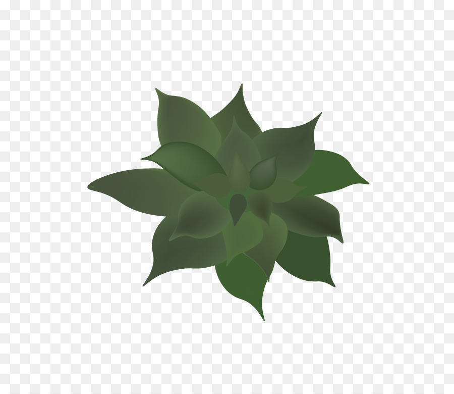 Daun，Bunga PNG