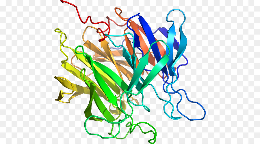 Struktur Protein，Biologi PNG