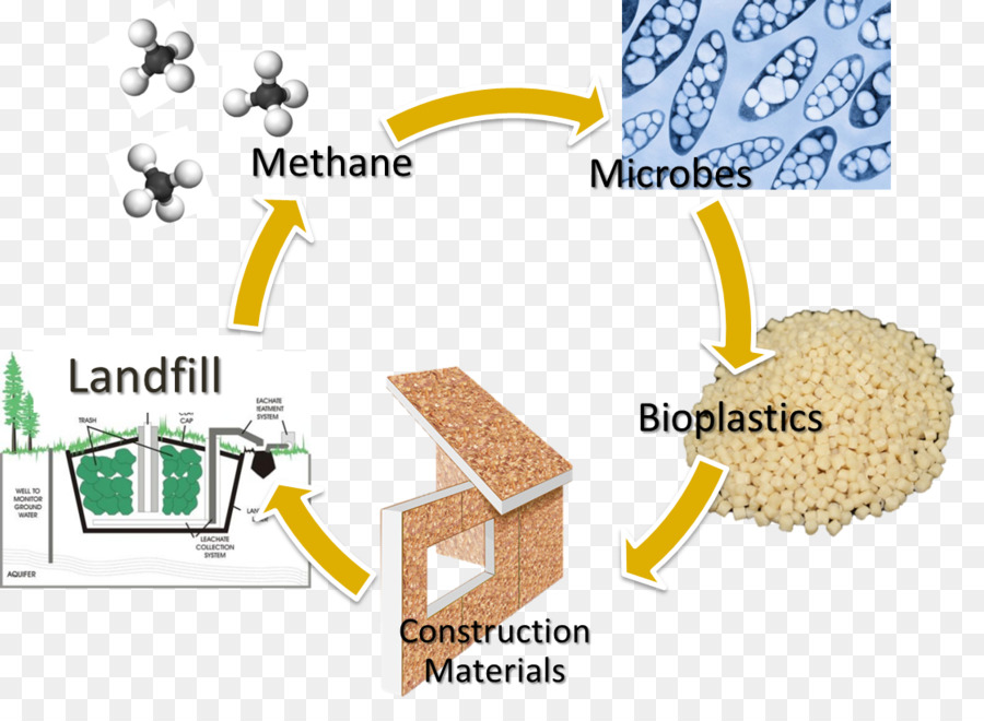 Устойчивые материалы. Sustainable materials. Manage sustainable materials.