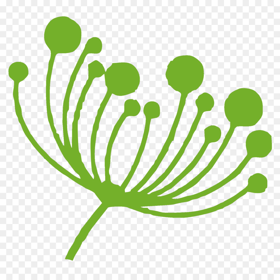 Umum Dandelion，Vinil Kelompok PNG