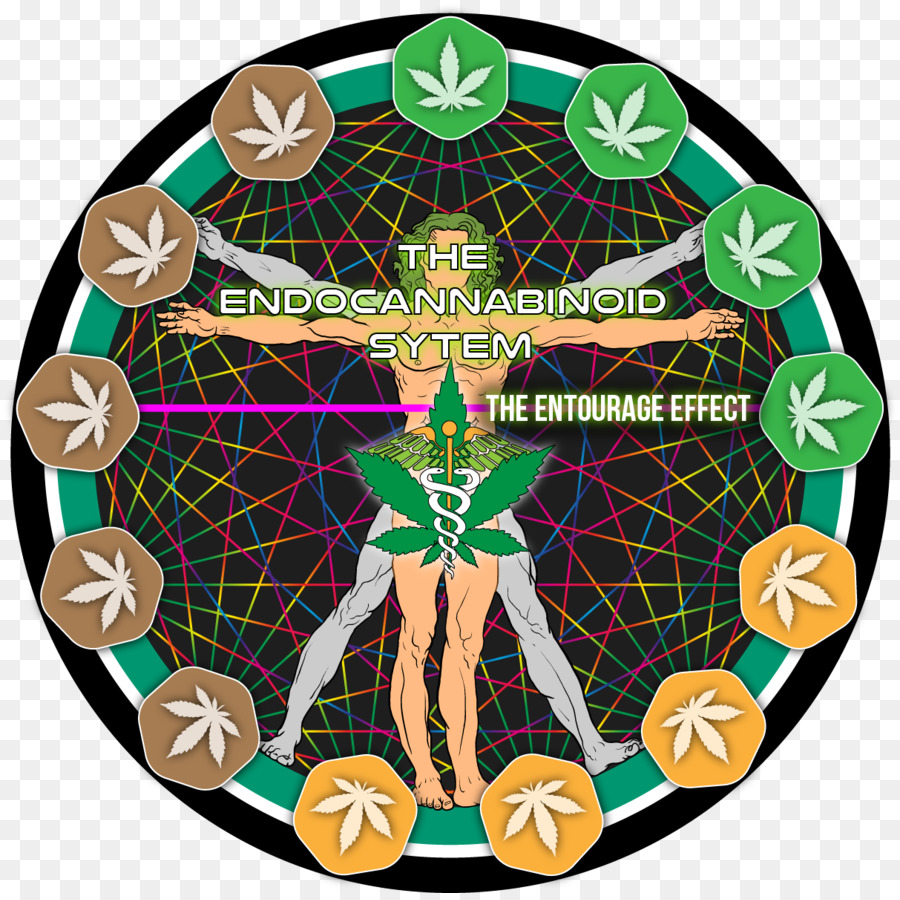 Tetrahydrocannabinol，Rombongan Efek PNG