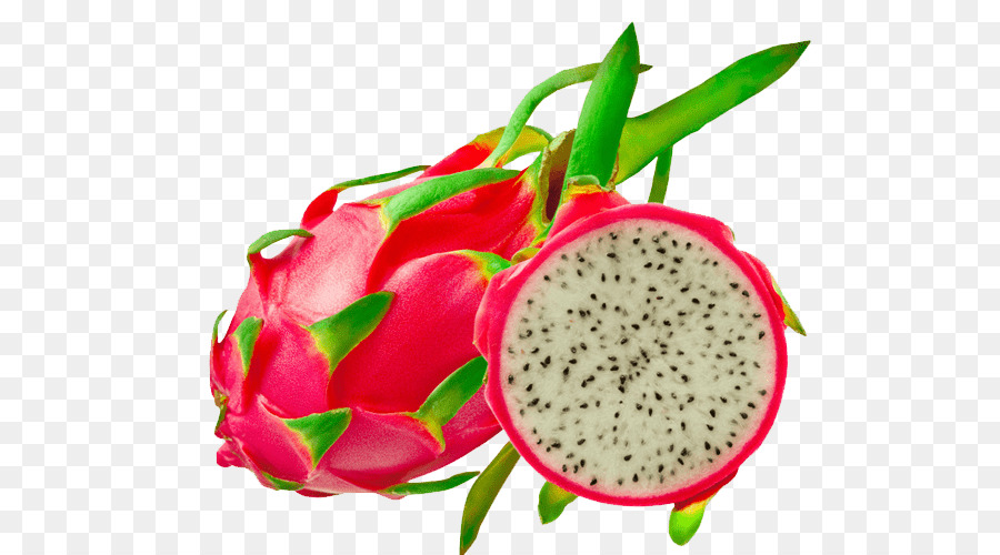 Dragon fruit blox fruits. Питайя Драконий фрукт вектор. Манго и питайя. Питайя экзо. Спар фрукты питахайя.