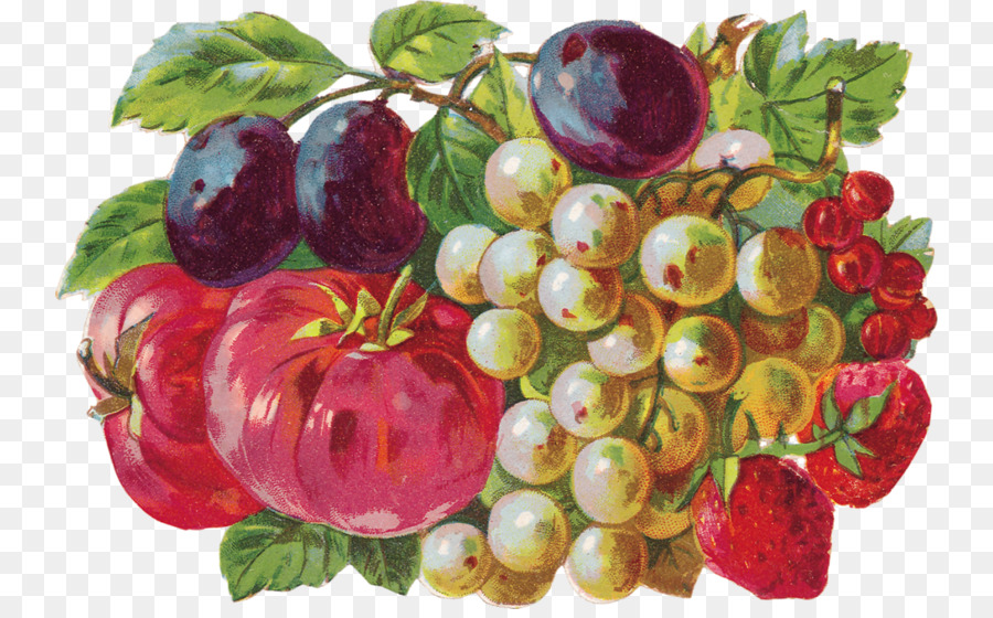 Buah Anggur Fullcolor Buahbuahan Dan Bungabunga Ilustrasi