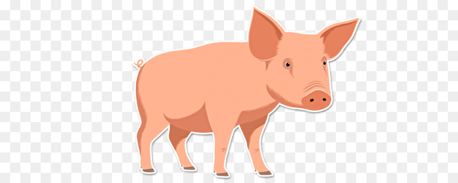 Babi，Ternak PNG