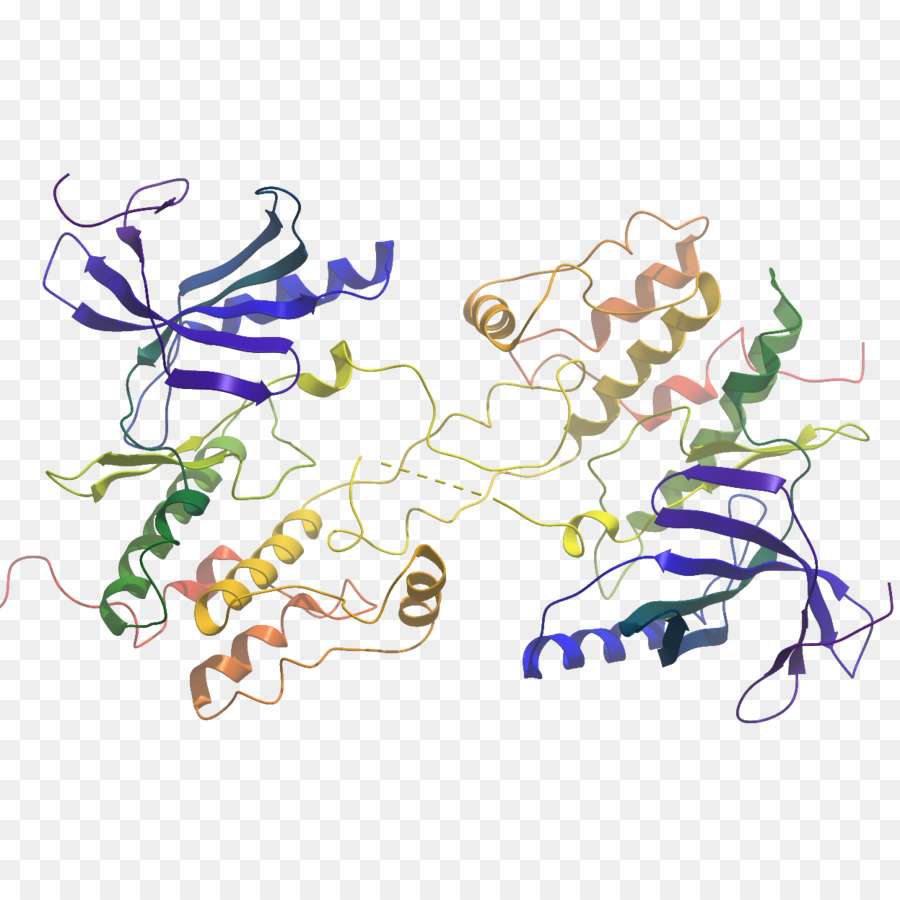 Struktur Protein，Biologi PNG