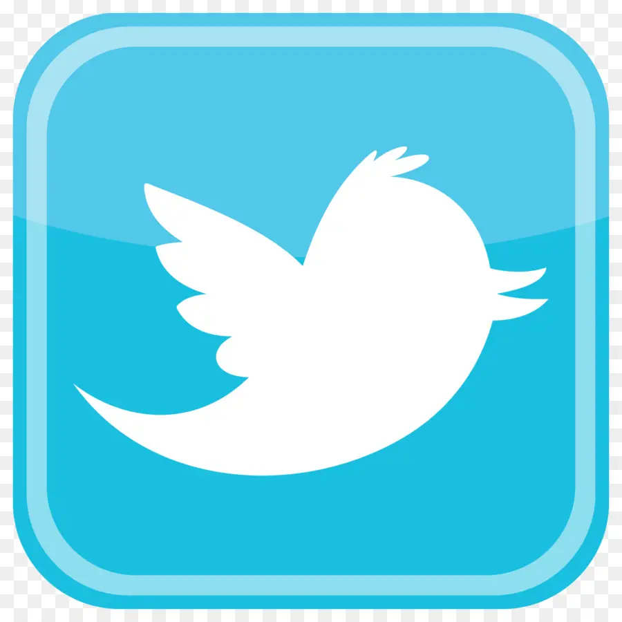 Logo Twitter，Media Sosial PNG