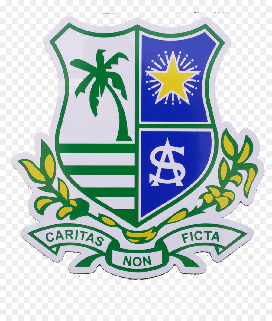 St Anthony Sekolah Teluk Intan，St Anthony Sekolah Menengah Nasional PNG