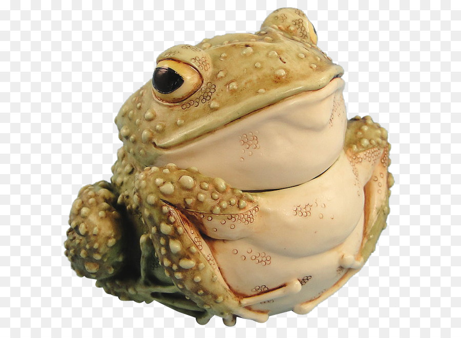 Katak，Hewan PNG