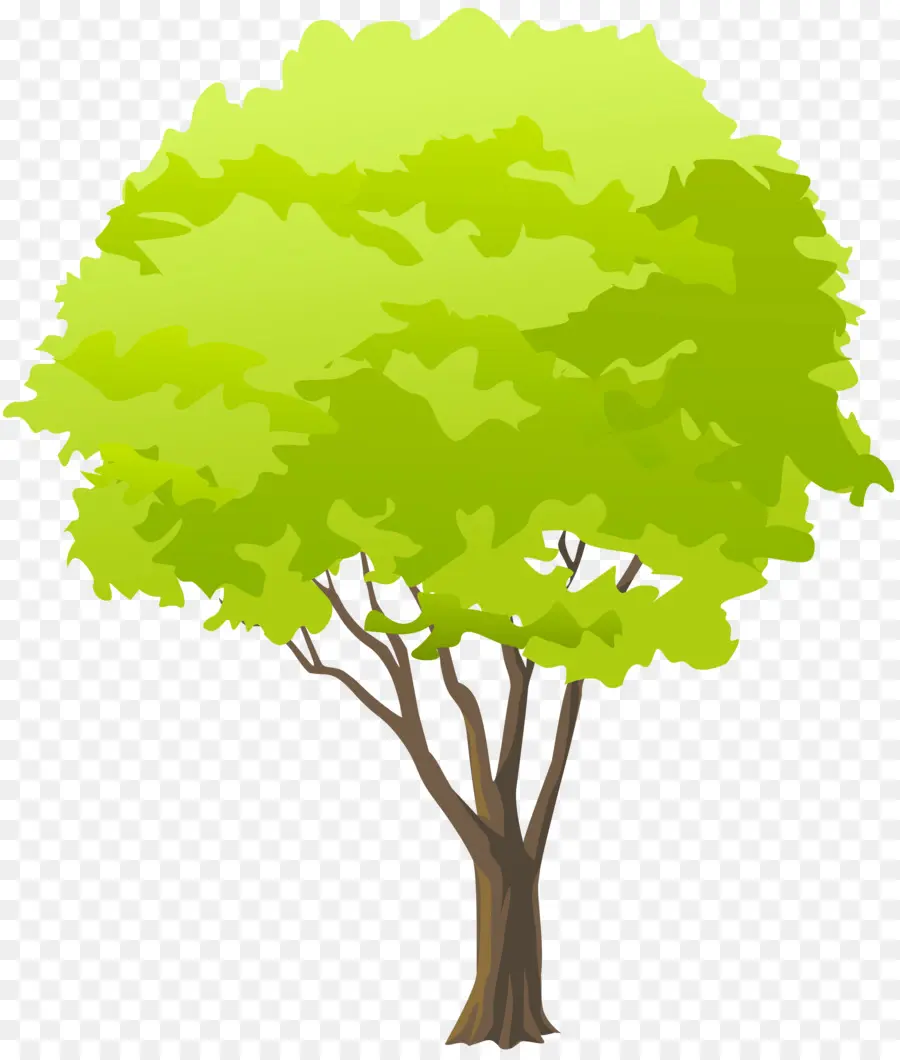 Cabang，Pohon PNG