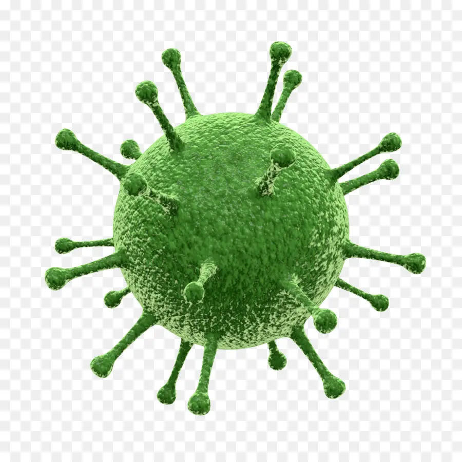 Virus Hijau，Infeksi PNG