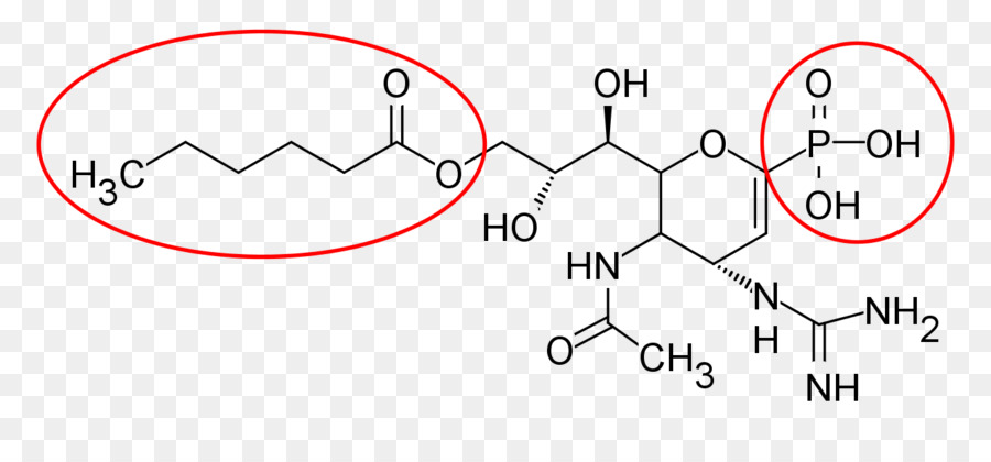 Neuraminidase Inhibitor，Zanamivir PNG