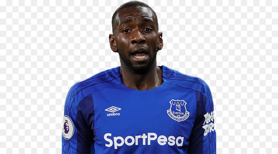 Yannick Bolasie，Liga Utama Inggris PNG