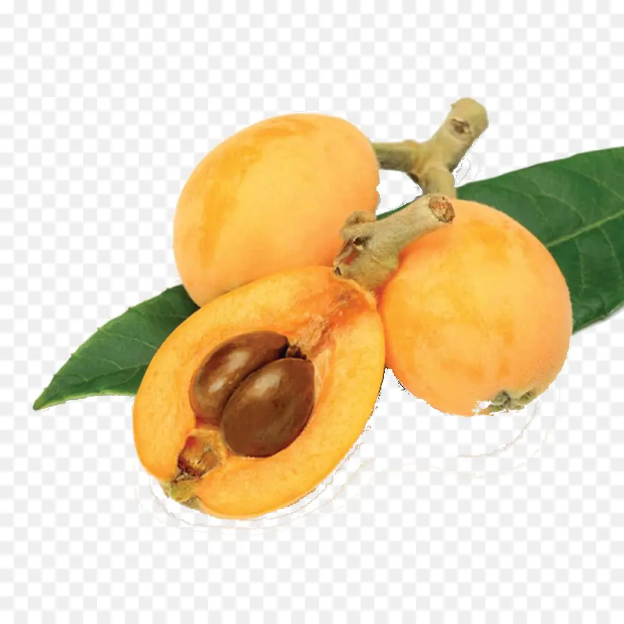 Loquat，Tropis PNG