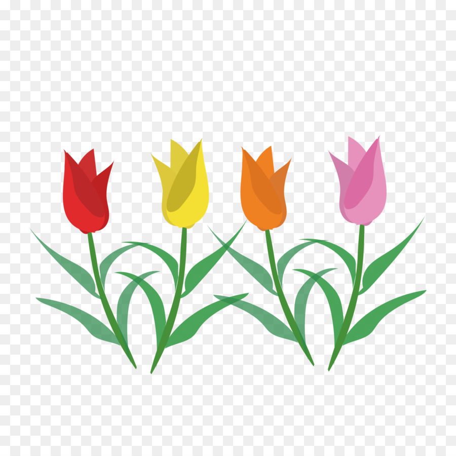 Tulip Kuning，Bunga PNG