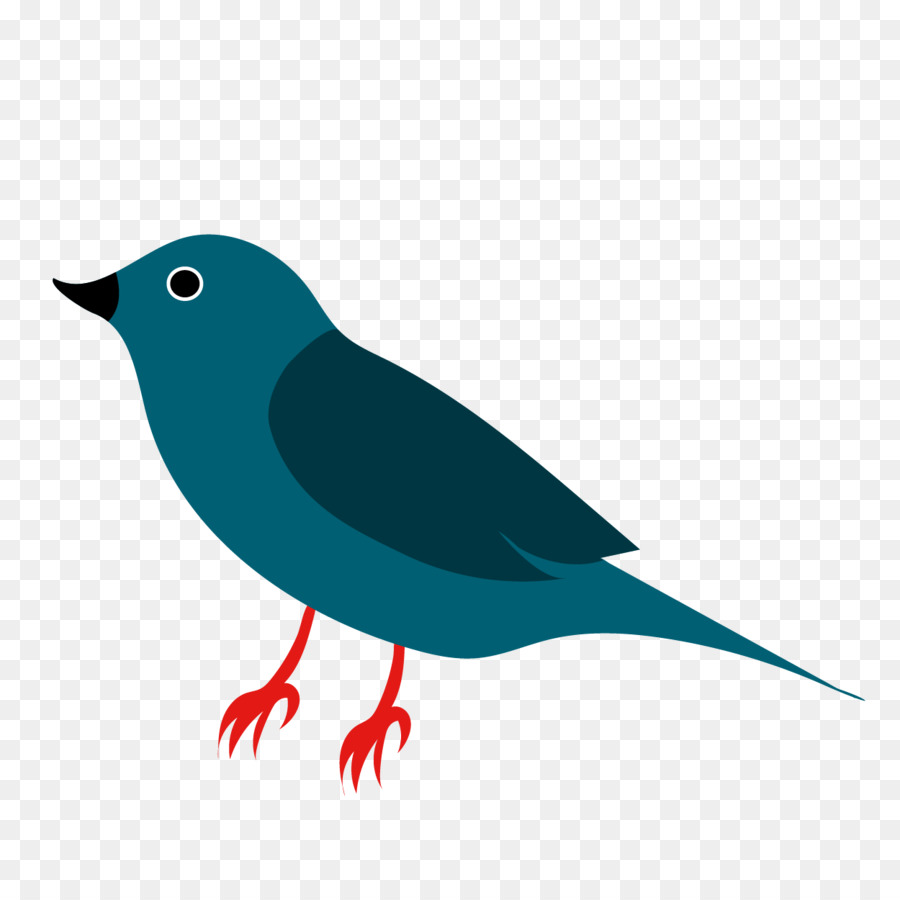 Blue Bird，Penerbangan PNG