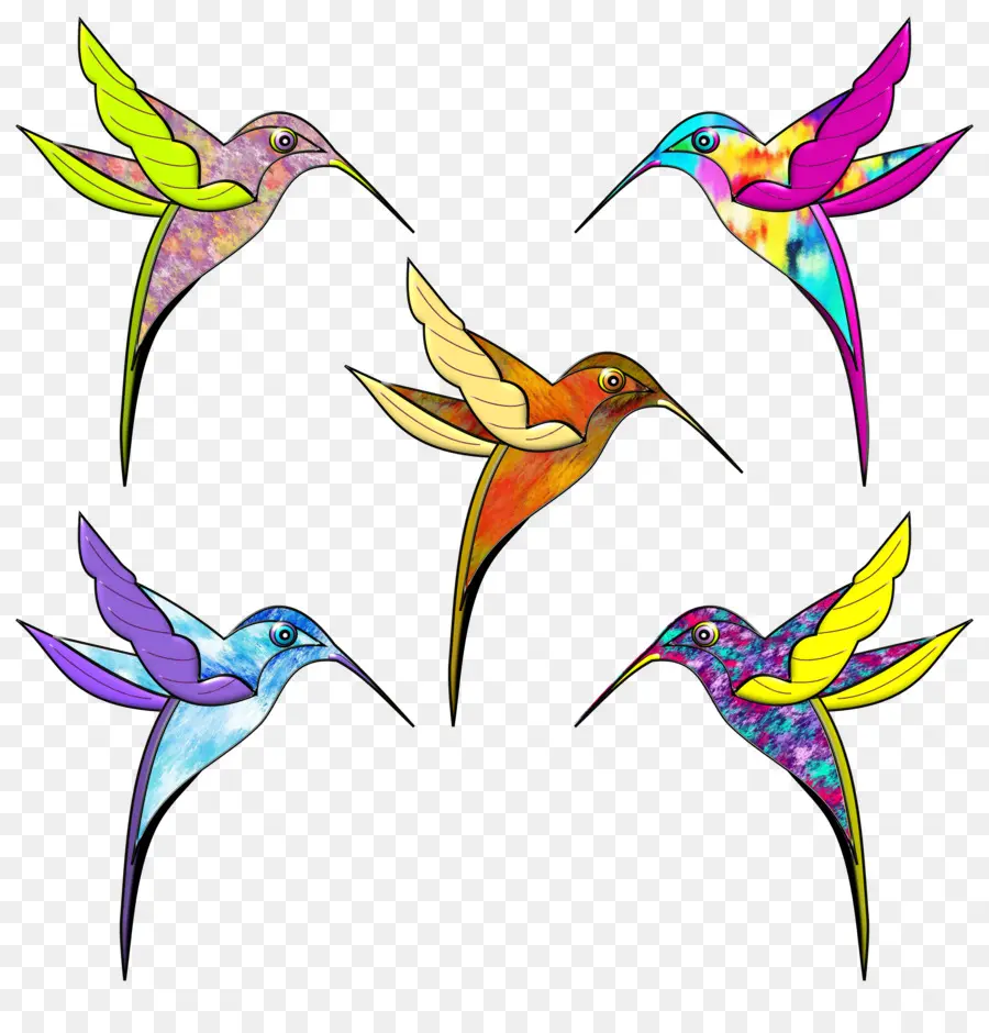 Hummingbird，Warna PNG